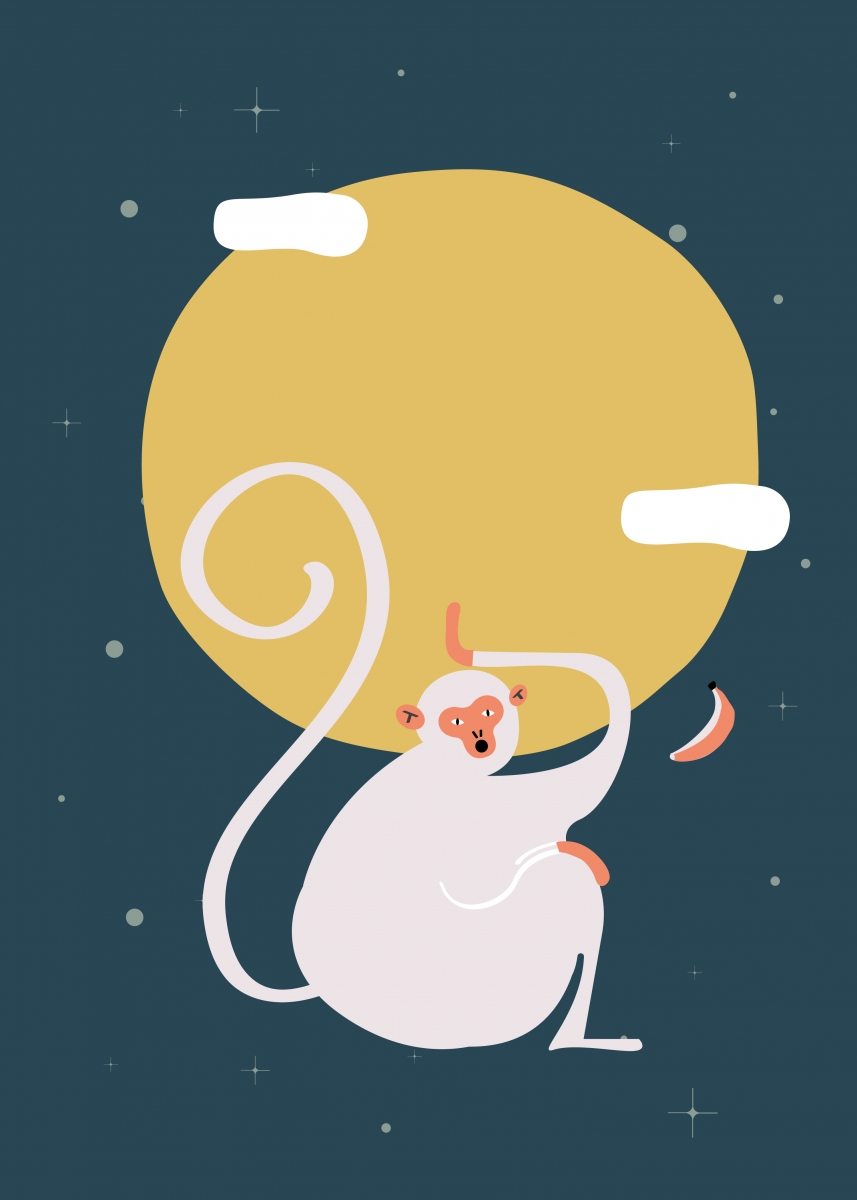 Chinese zodiac monkey
