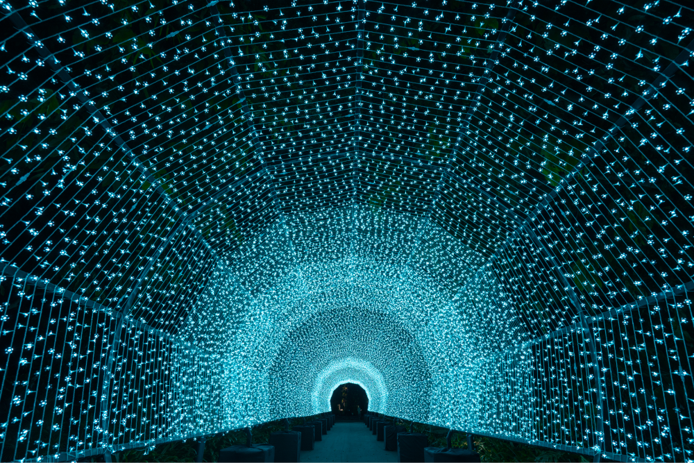 Christmas light-up Singapore 2020