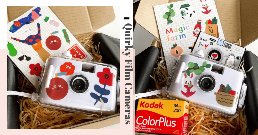film cameras What You Need To Know About film cameras GirlStyle