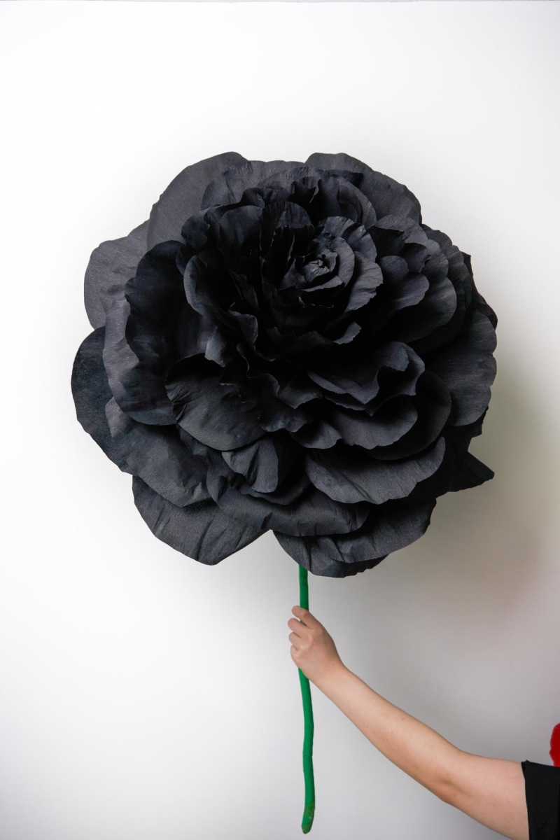The Fhing Singapore giant crepe flowers