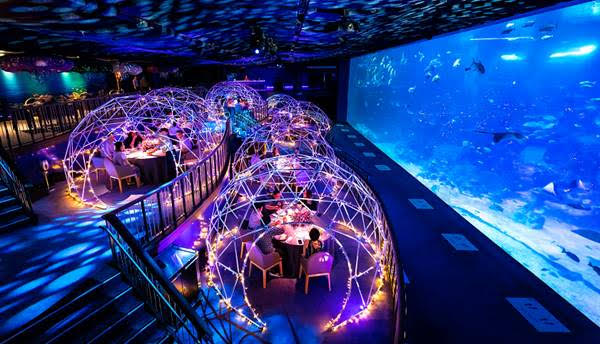 Aqua Gastronomy Festive Christmas Singapore