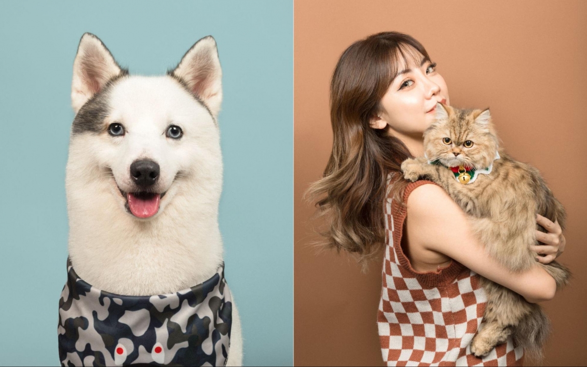 STUDIO03 pet portrait Singapore