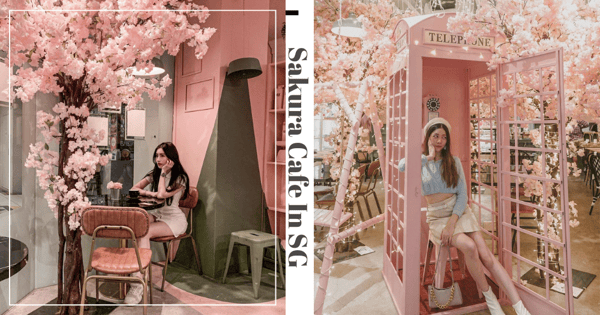 Feel Like You're Back In Japan At Brown Butter Cafe With Their New Sakura Decor