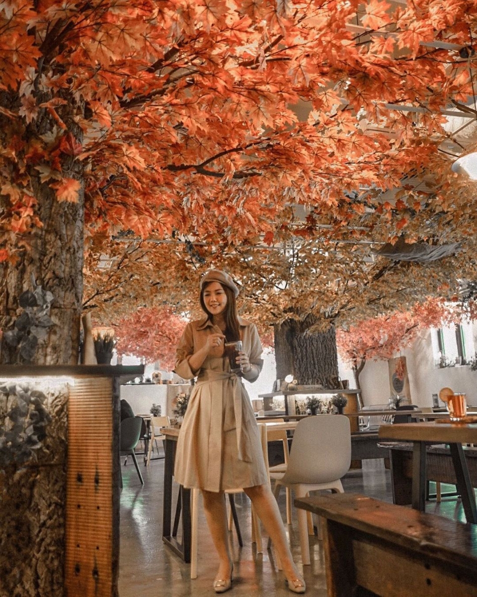 cafe kreams korean autumn leaves