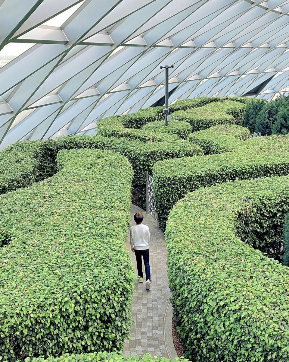 canopy park maze at jewel changi singapore