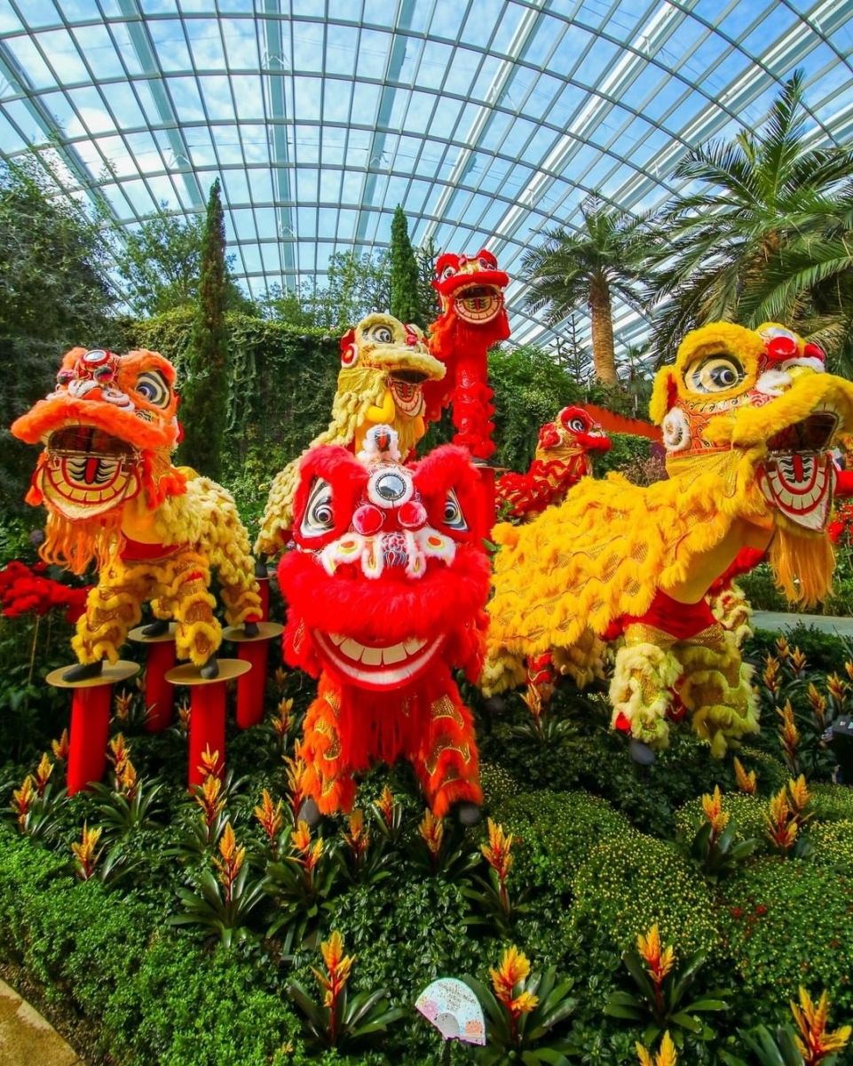 Gardens by the Bay Dahlia Dreams lion dance