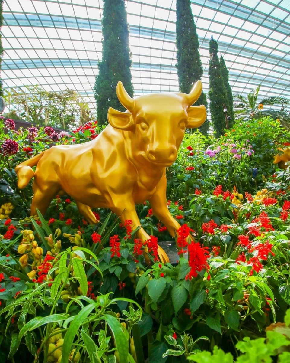 Gardens by the Bay Ox
