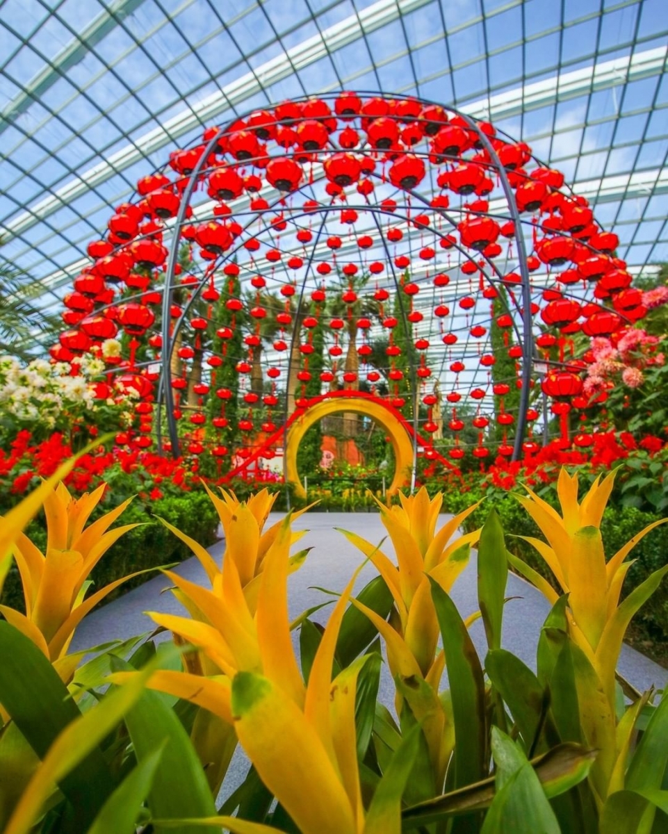 Gardens by the Bay Dahlia Dreams Lantern Globe and dahlias