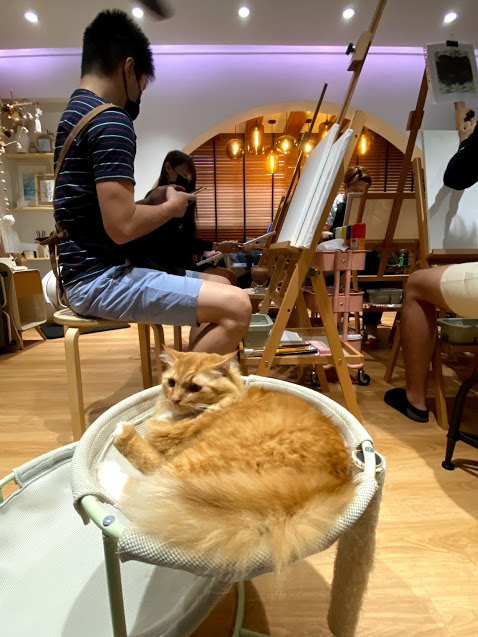 Art jamming with cats Wildflower Studio Singapore