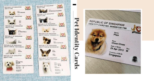 You Can Now Get A Pink “Republic Of Singapaw” IC For Your Pet, Similar To Your Own