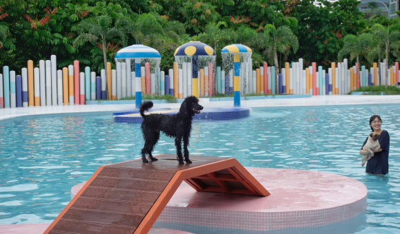 Wag & Wild dog swimming pool water park Singapore