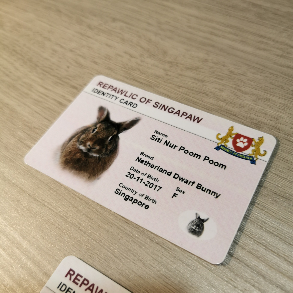 Pet Identity Card IC Singapore