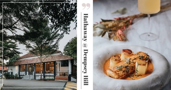 This Restaurant At Dempsey Hill Is A Hidden Gem With Elegant Decor & European-Asian Fusion Dishes
