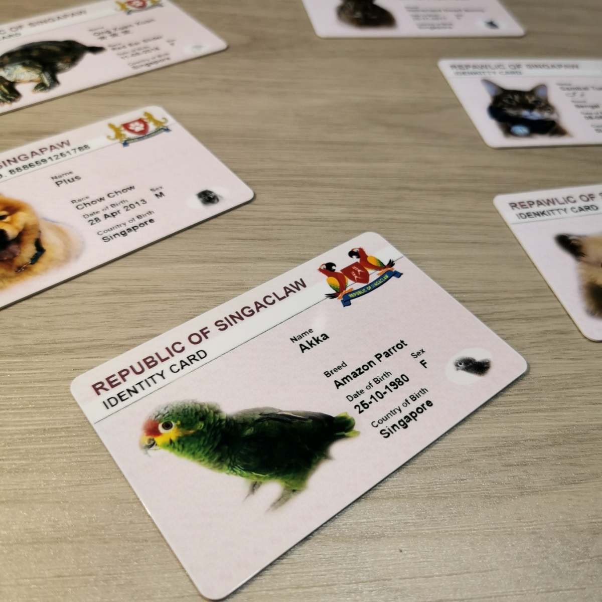 Pet Identity Card IC Singapore