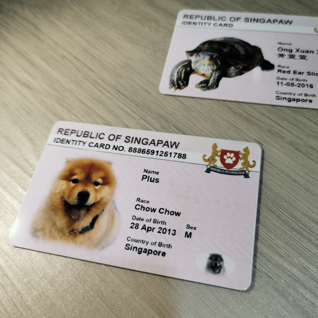 Pet Identity Cards In Singapore Pink ICs For Your Dog, Cat, Or Rabbit