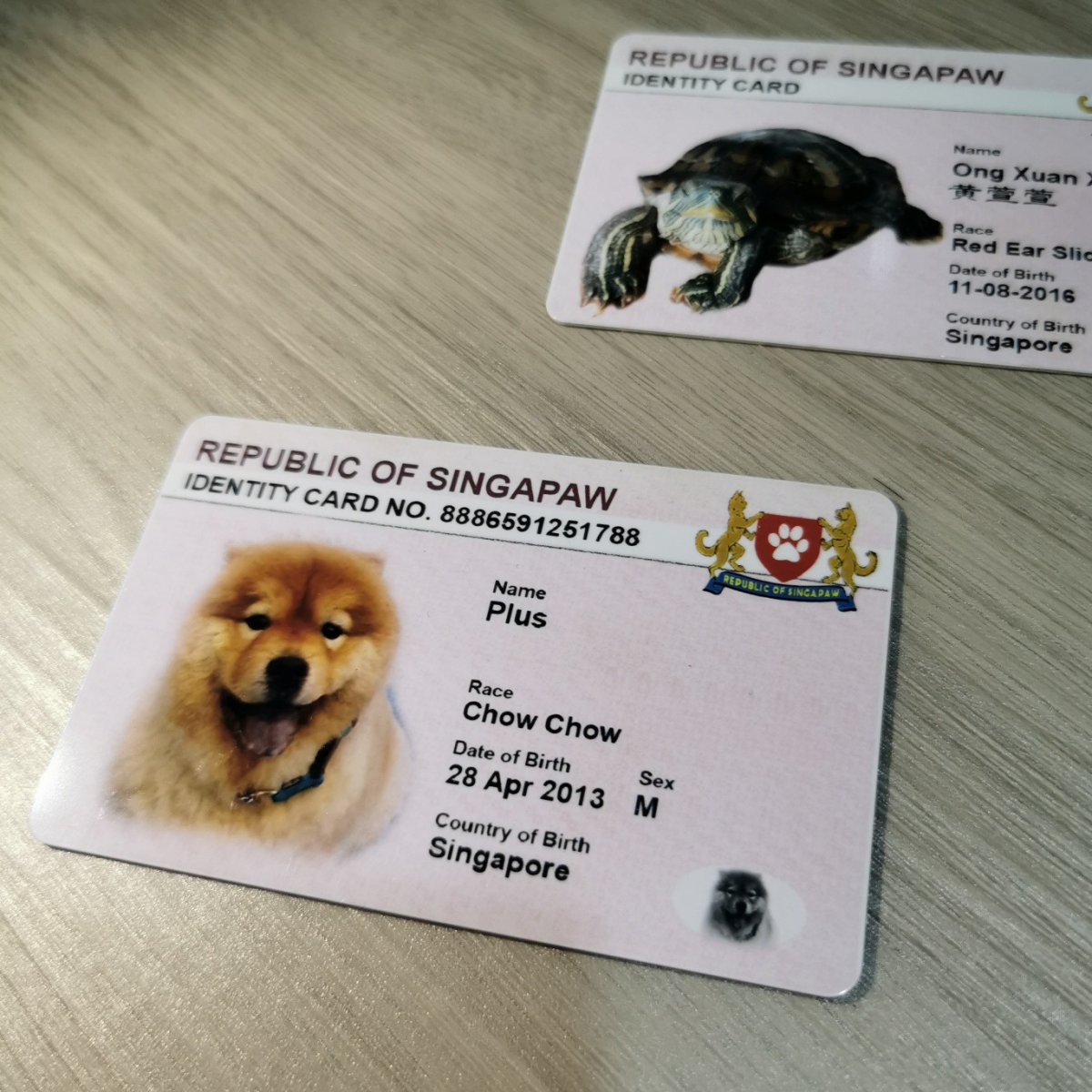 Pet Identity Card IC Singapore