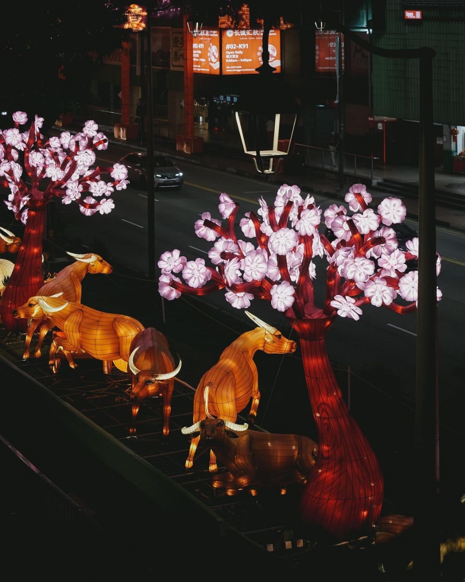 Chinatown Chinese New Year CNY light-up 2021
