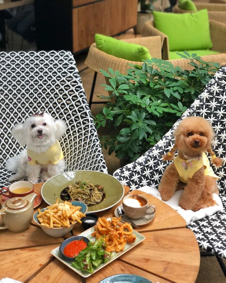 Canopy Garden Dining HortPark