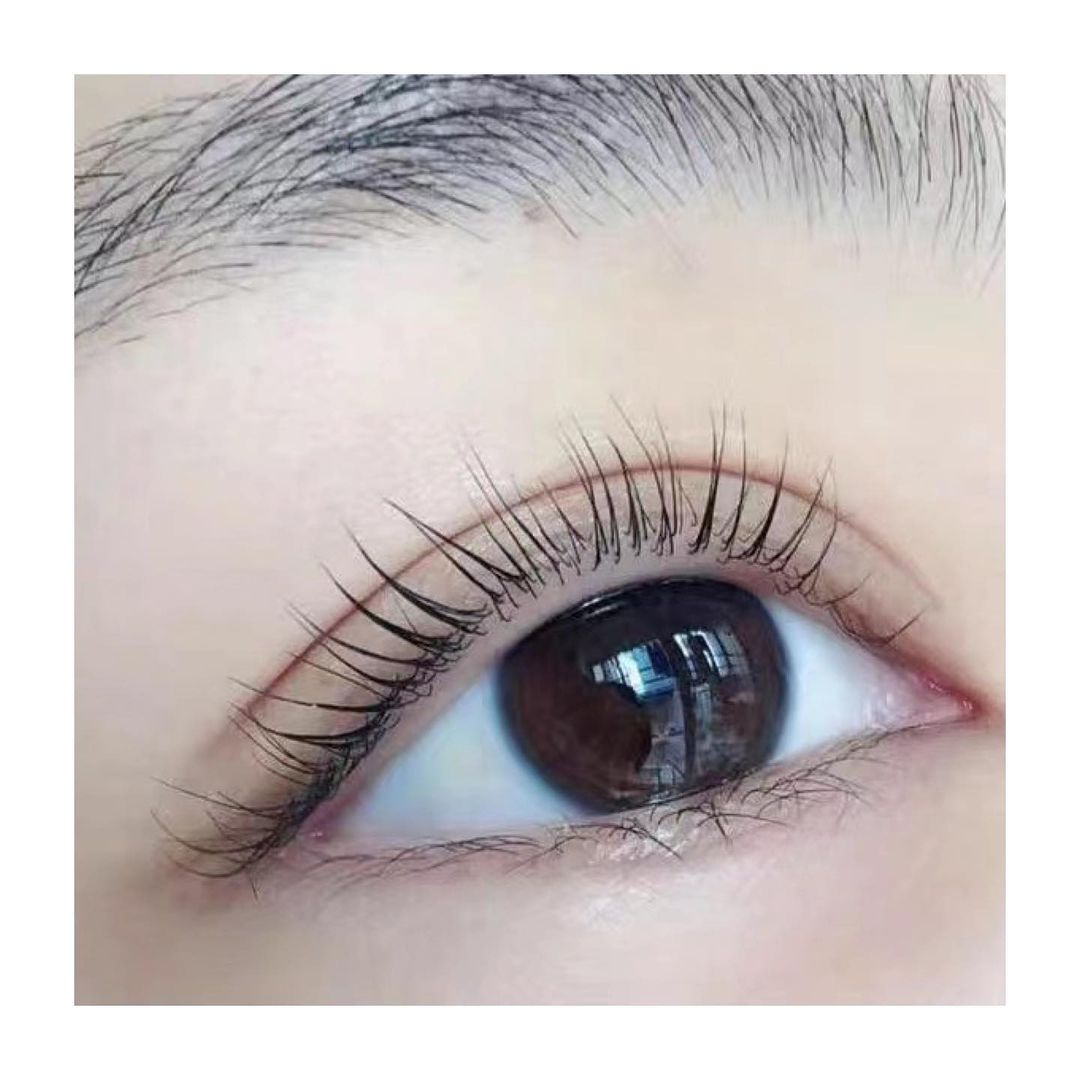Highbrow lash lift