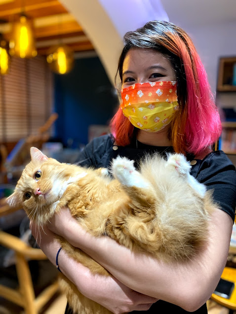 Art jamming with cats Wildflower Studio Singapore