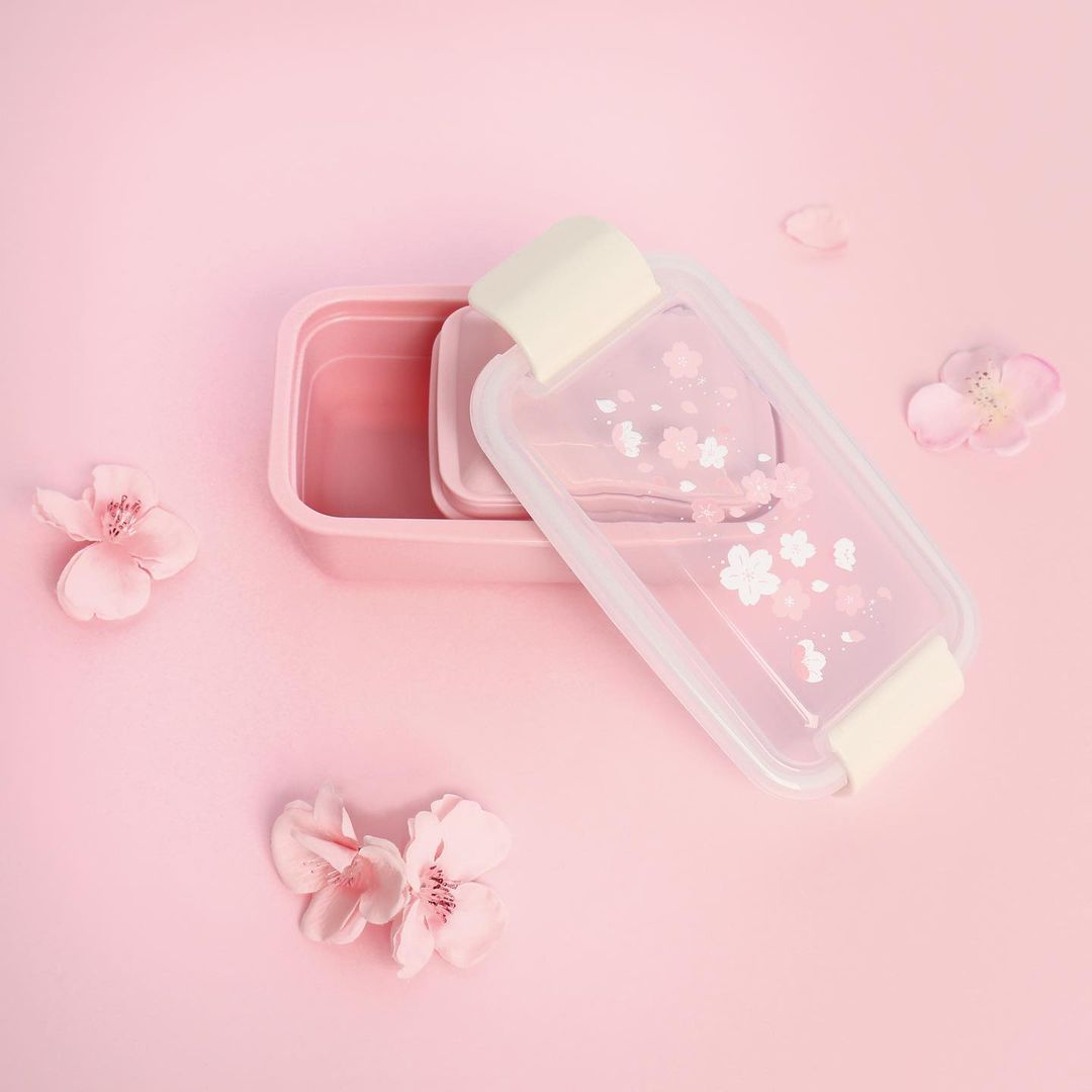 Daiso Korea Dreaming Blossom lunch box