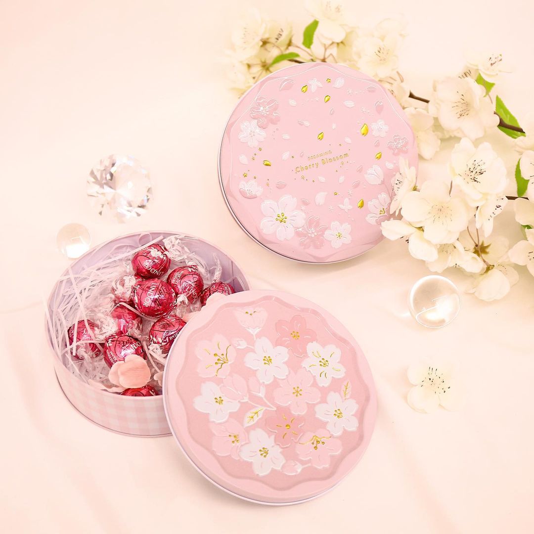 Daiso Korea Dreaming Blossom container