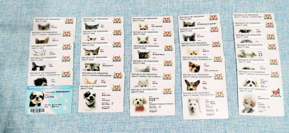 Pet Identity Card IC Singapore