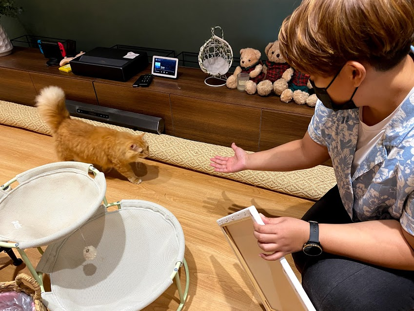 Art jamming with cats Wildflower Studio Singapore