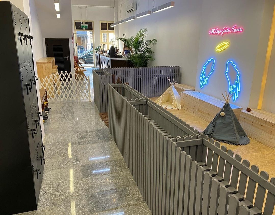 Cookie & Cuddle dog cafe Singapore