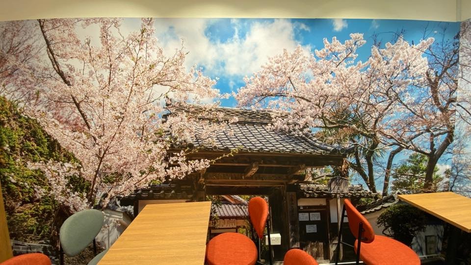 MoMiJi cafe cherry blossom room