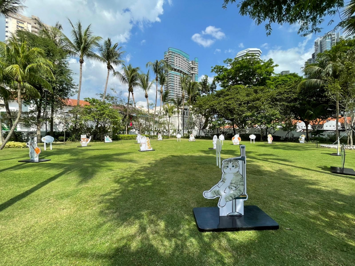 Paw-verbs on the Lawn Singapore