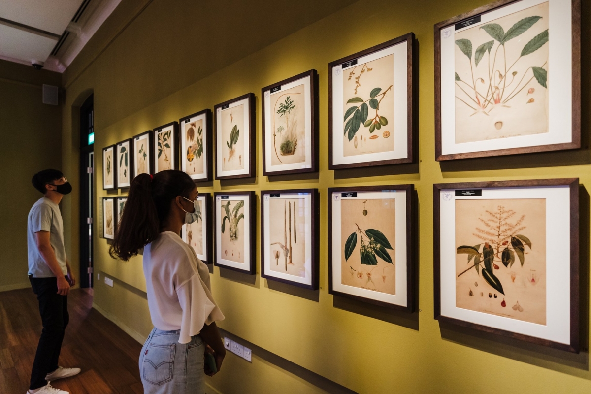 Botanical Art Gallery singapore