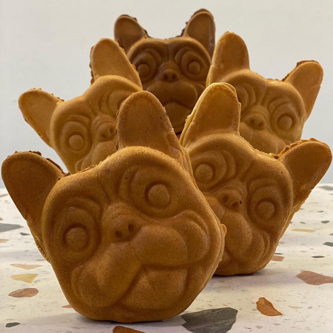 Cookie & Cuddle dog cafe Singapore