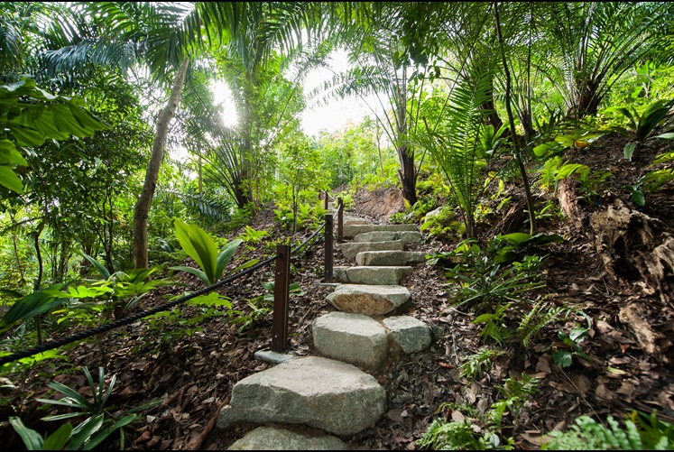 Mingxin Foundation Rambler’s Ridge botanic gardens