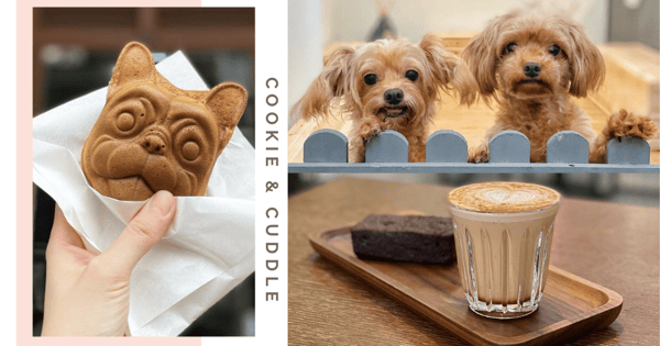 Cookie & Cuddle: New Dog Petting Cafe In Singapore With Dog-Shaped Taiyaki & Cookie Dough Brownies