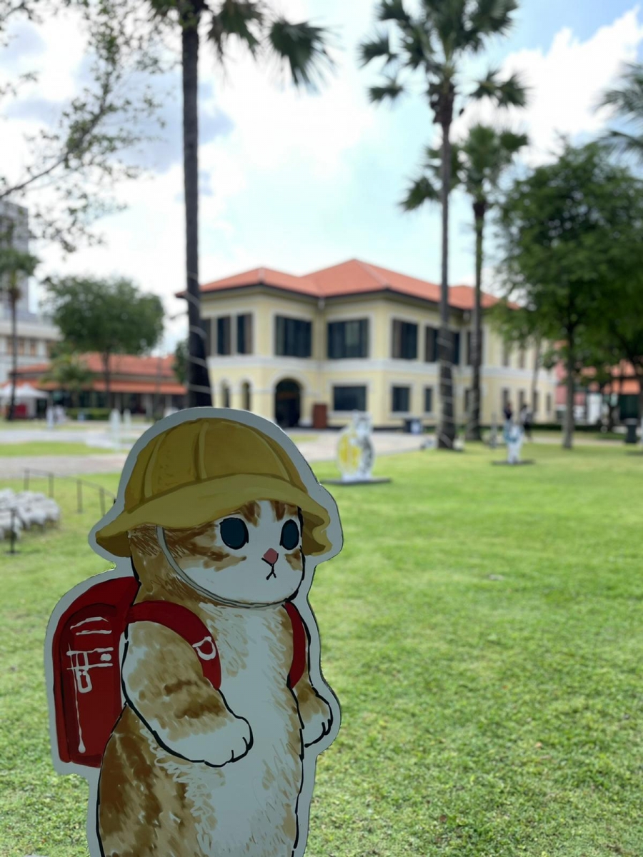 Paw-verbs on the Lawn Singapore