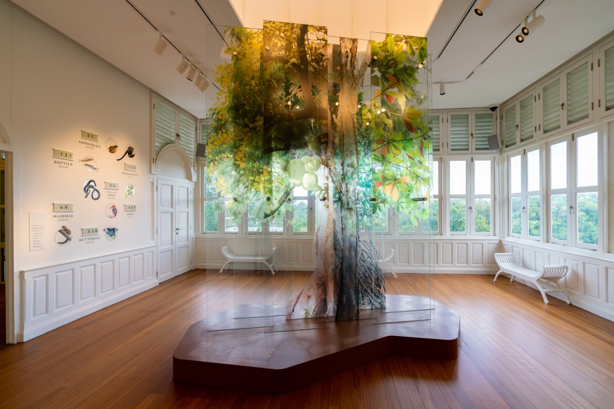 ecosystem display at Forest Discovery Centre @ OCBC Arboretum is housed in Gallop House