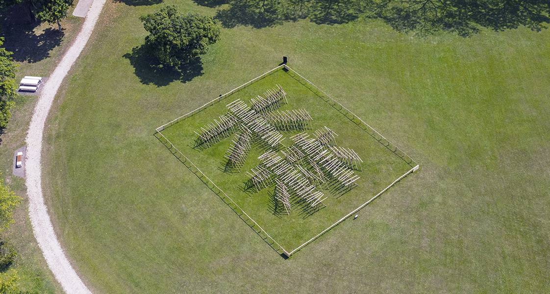 When A Tree Becomes A Forest