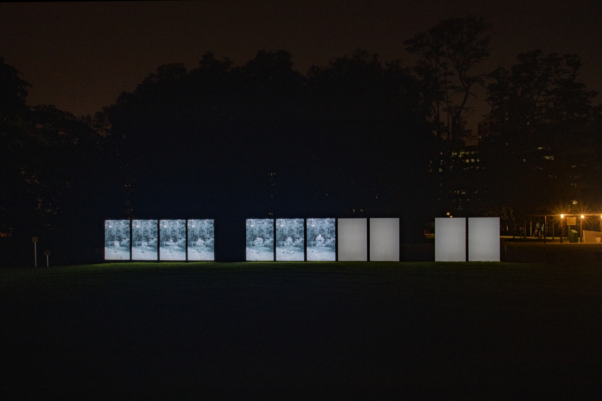 It Takes Time by Robert Zhao Renhui in the nighttime