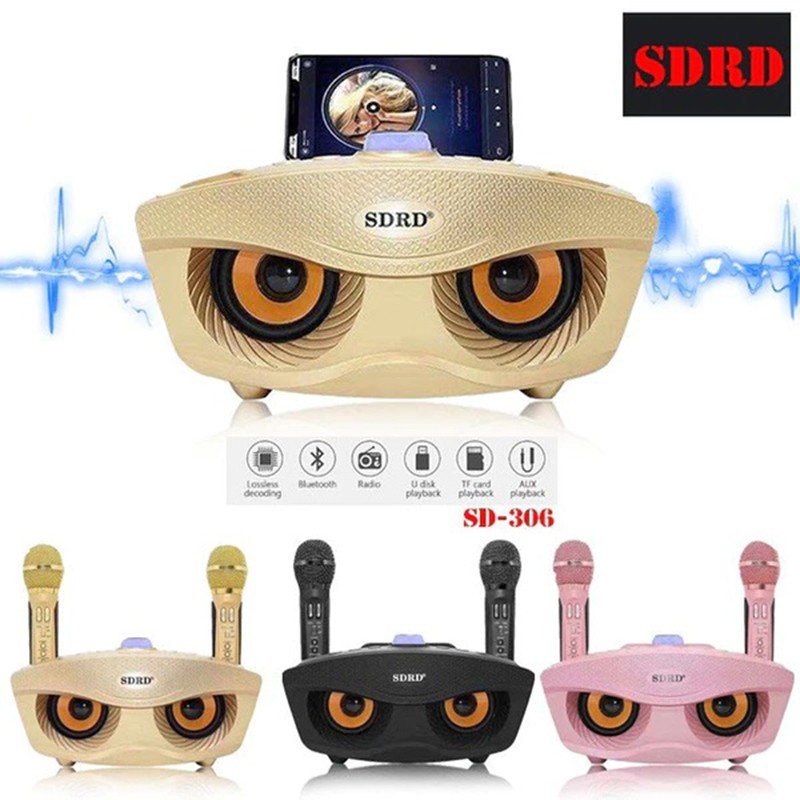 Bluetooth speaker with two microphones