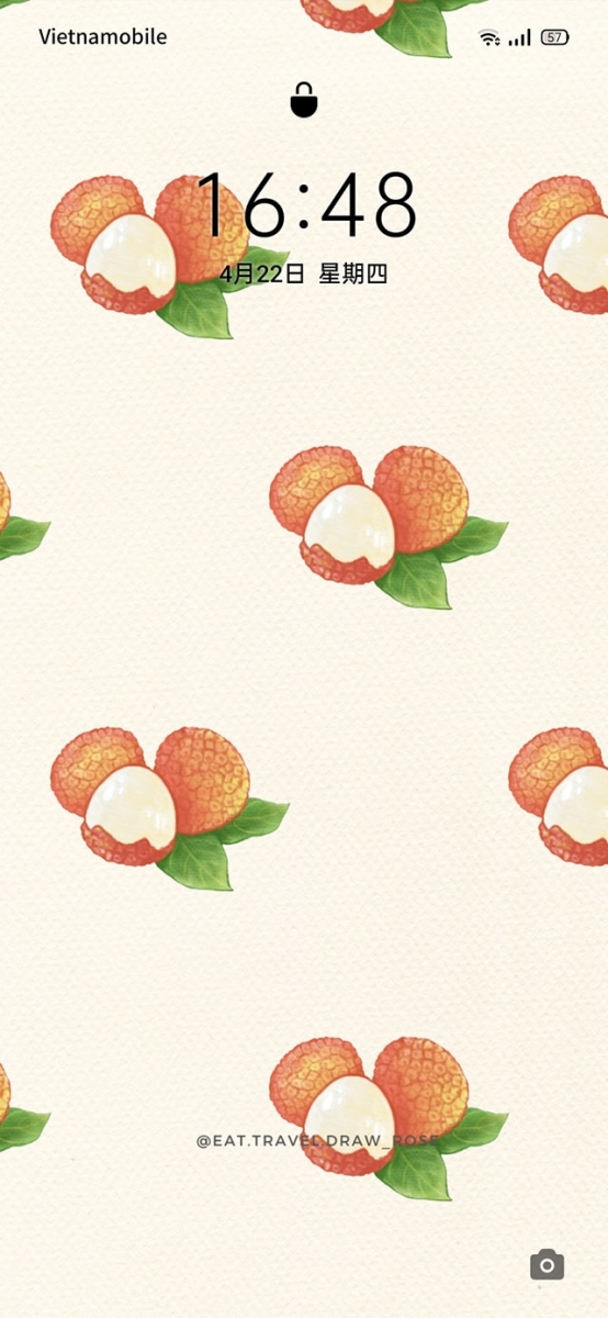 illustrated mangosteen phone wallpaper