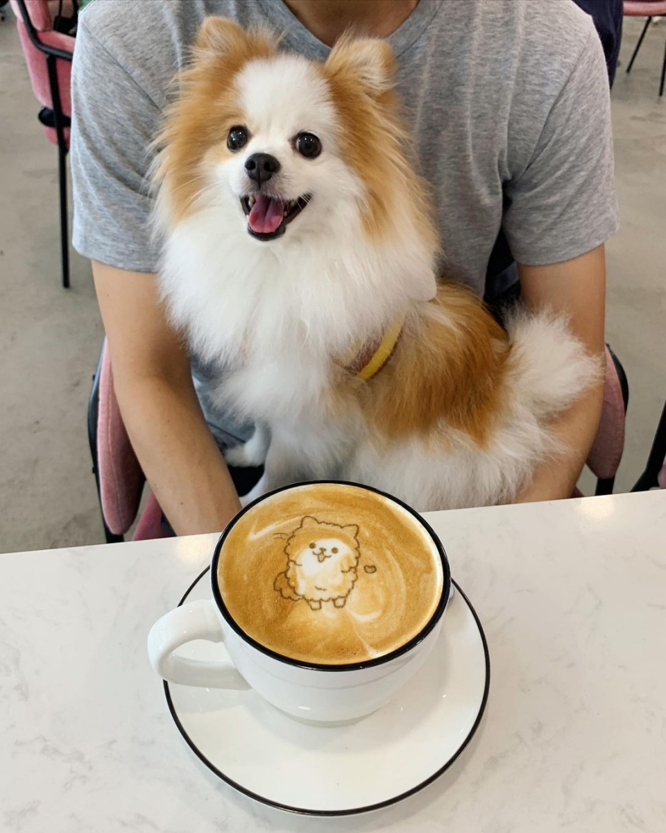 Wooftopia Pet Cafe Singapore