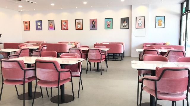 Wooftopia Pet Cafe Singapore