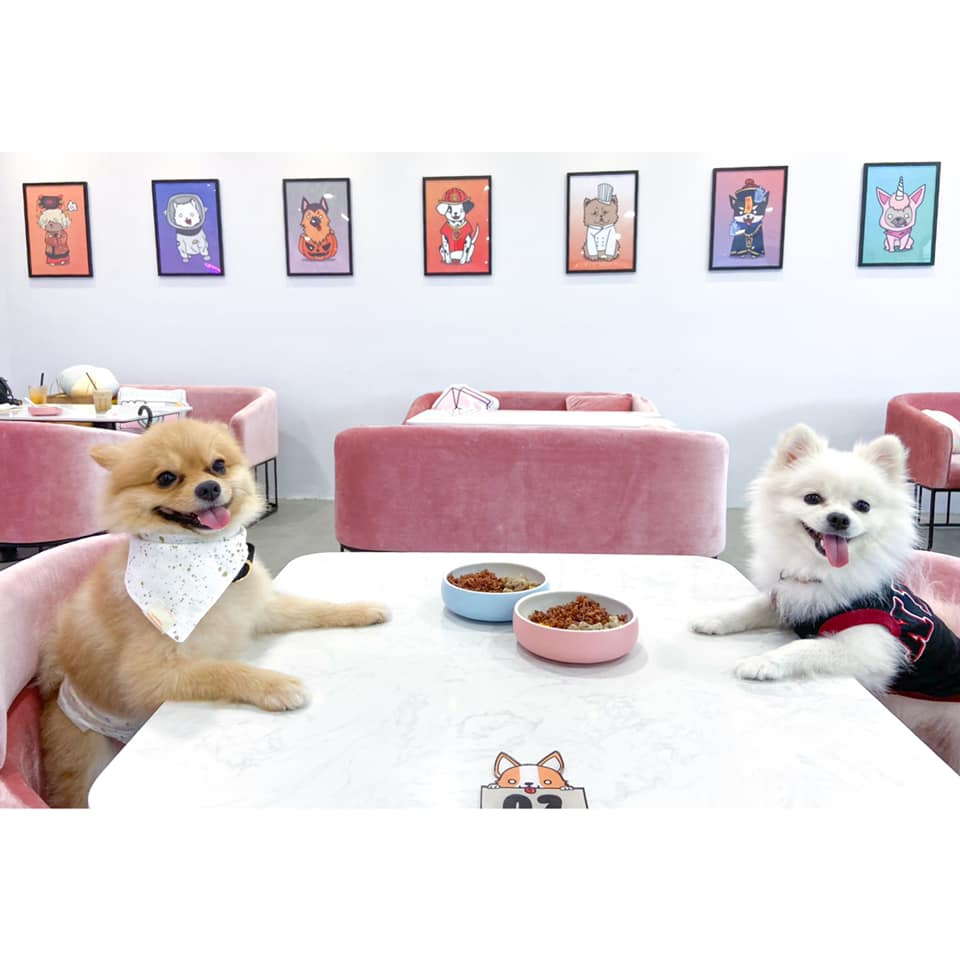 Wooftopia dog cafe Singapore