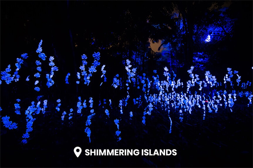 Rainforest Lumina shimmering islands close up