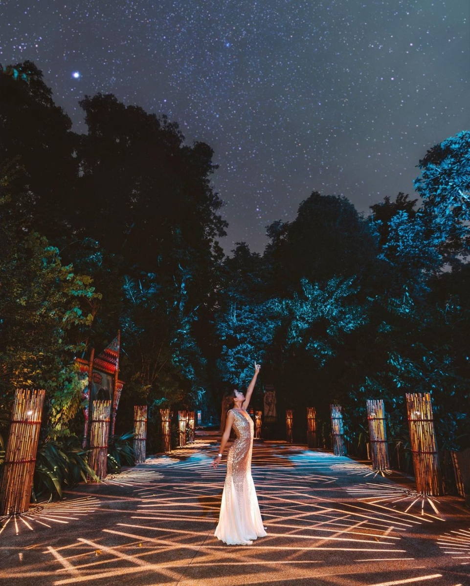 Rainforest Lumina Instagram-worthy photo