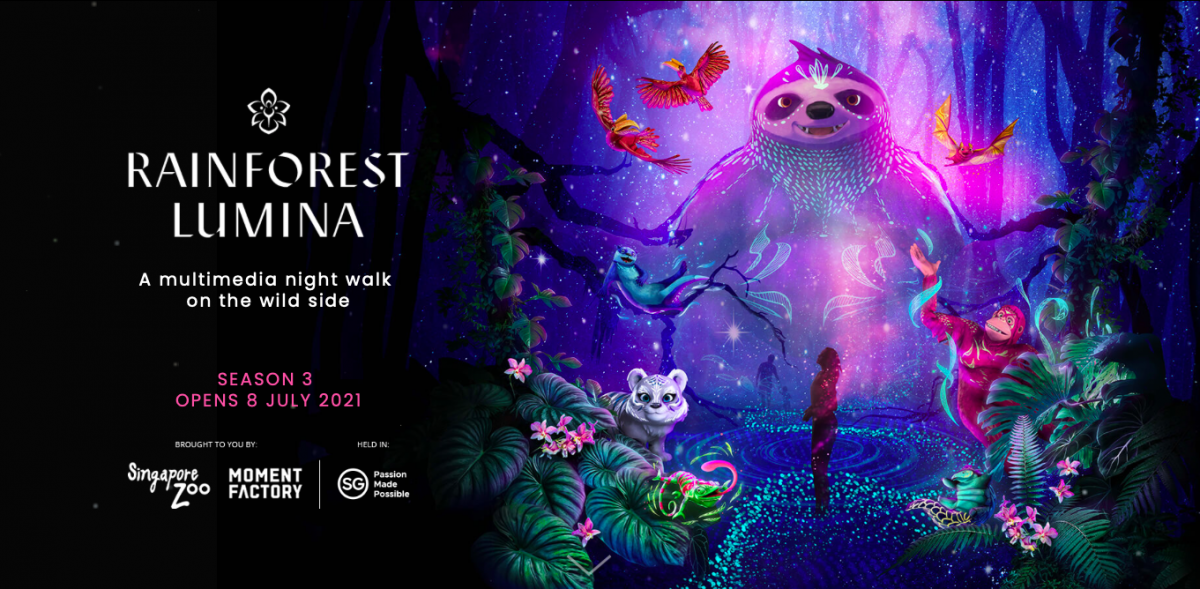 Rainforest Lumina Singapore Zoo season 3