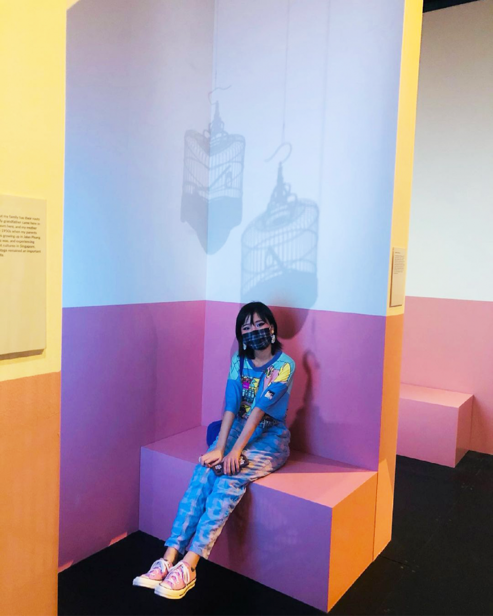 National Museum singapore home truly pink hdb bird cage