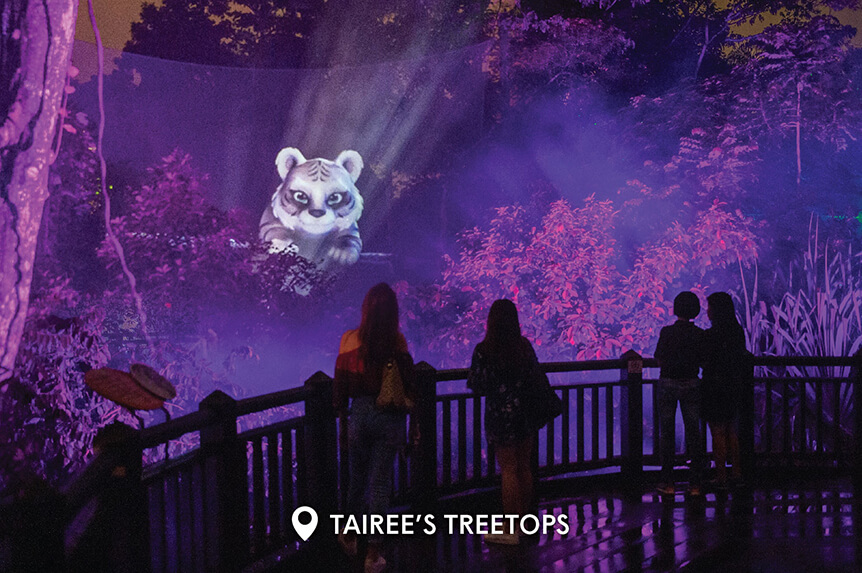 Rainforest Lumina Tairee's Treetop