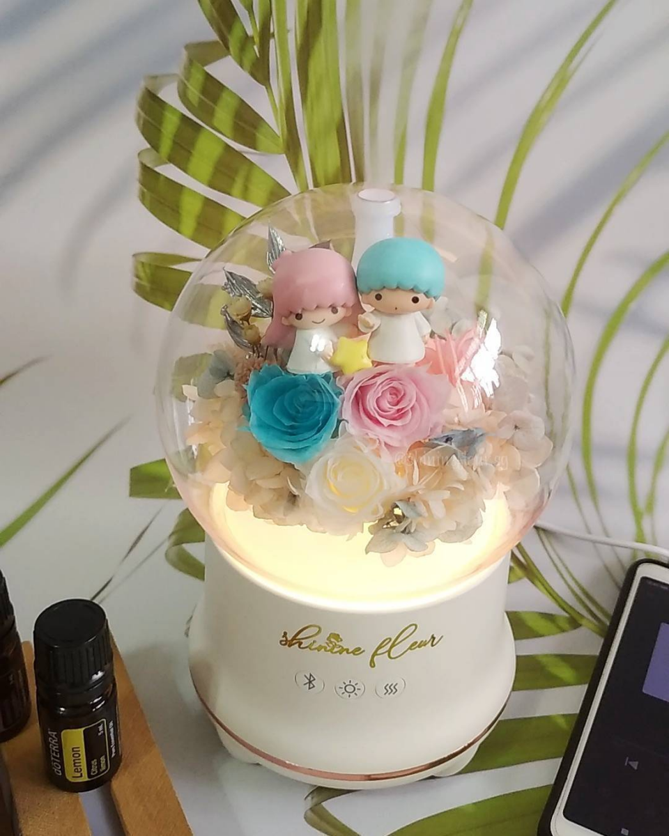 Little Twin Stars Humidifier